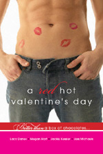 A Red Hot Valentine's Day by Megan Hart