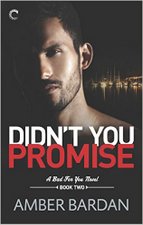 Didn't You Promise by Amber Bardan