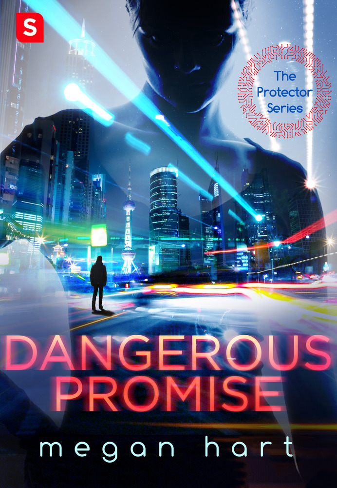 Dangerous Promise by Megan Hart